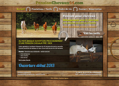 Pension chevaux 64